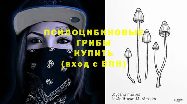 гидропоника Медвежьегорск