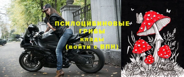винт Абаза